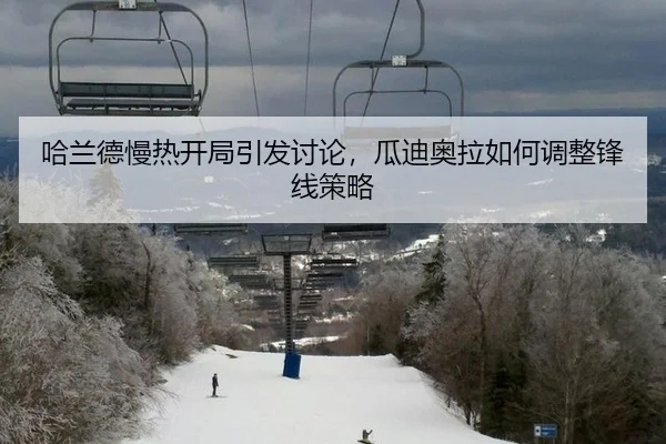 ha-lan-de-man-re-kai-ju-yin-fa-tao-lun-gua-di-ao-la-ru-he-tiao-zheng-feng-xian-ce-lve-2-308.jpg