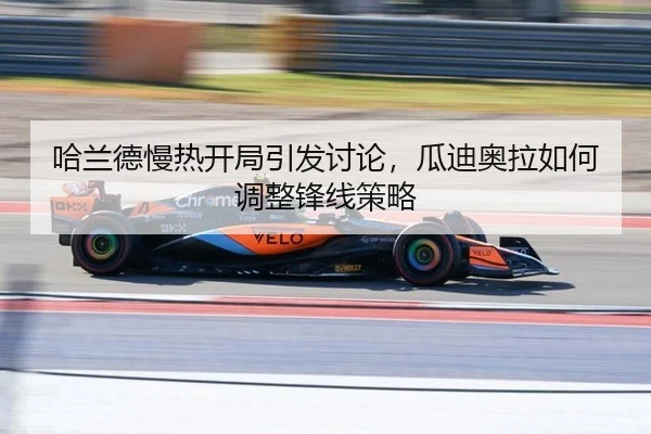 ha-lan-de-man-re-kai-ju-yin-fa-tao-lun-gua-di-ao-la-ru-he-tiao-zheng-feng-xian-ce-lve-3-655.jpg