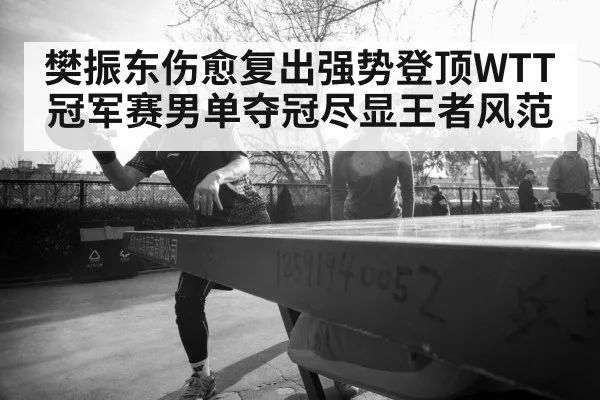 樊振东伤愈复出强势登顶WTT冠军赛男单夺冠尽显王者风范